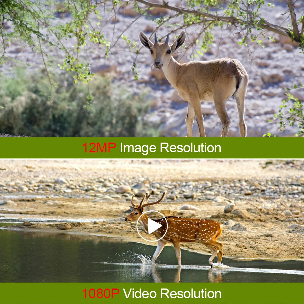 Caméra de Chasse Mini 1080P – Vision Nocturne et Étanche