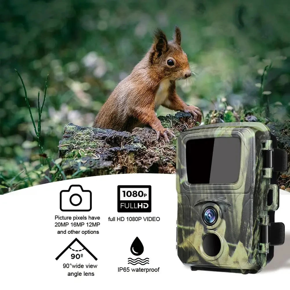 2 Caméras Mini Trail 20MP – Vision Nocturne, 1080P, Détection Animalière
