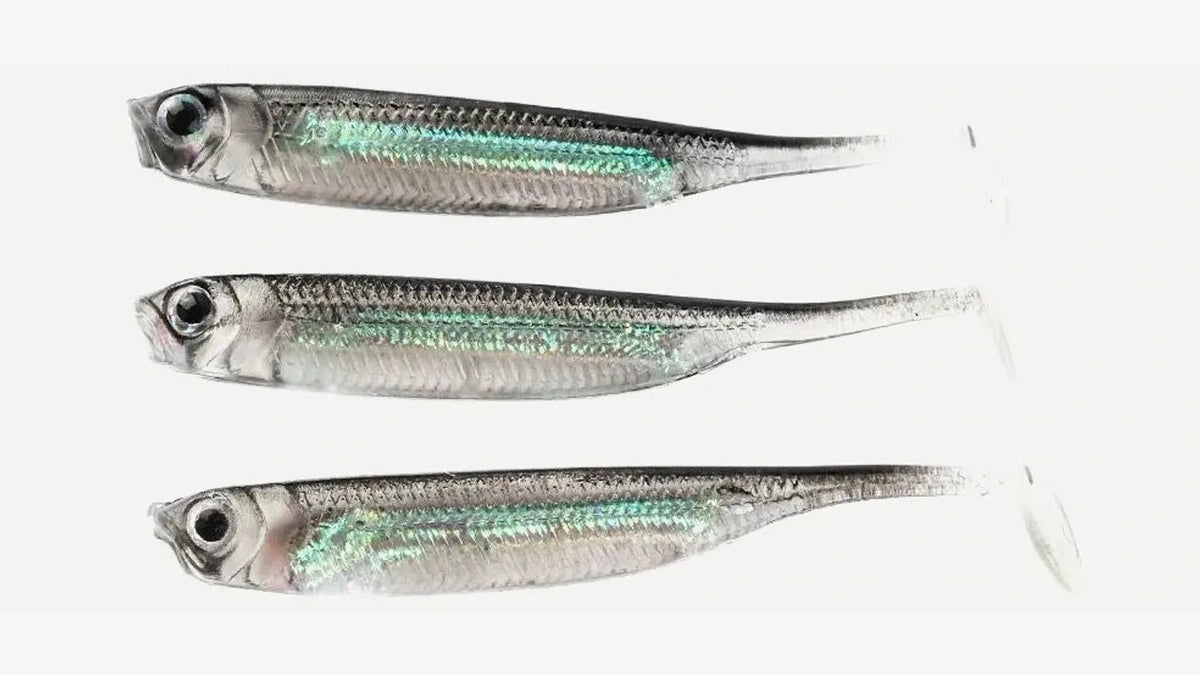 Trois shads souples transparents alignés, prêts à être montés sur une tête plombée