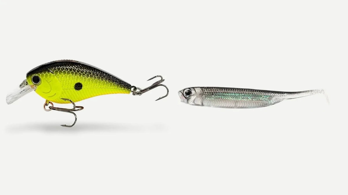 Un crankbait squarebill à côté d'un shad souple transparent