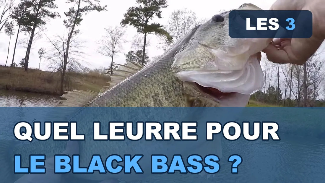 Miniature de la vidéo Proshunter « Quel leurre pour le black bass ? »