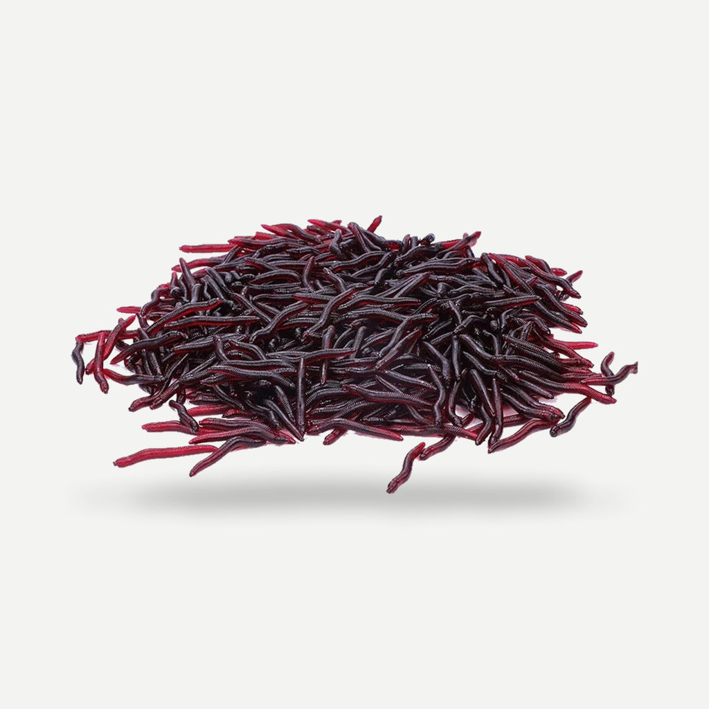 Vers souples 4 cm – lot de 50, 100 ou 200 – Sougayilang