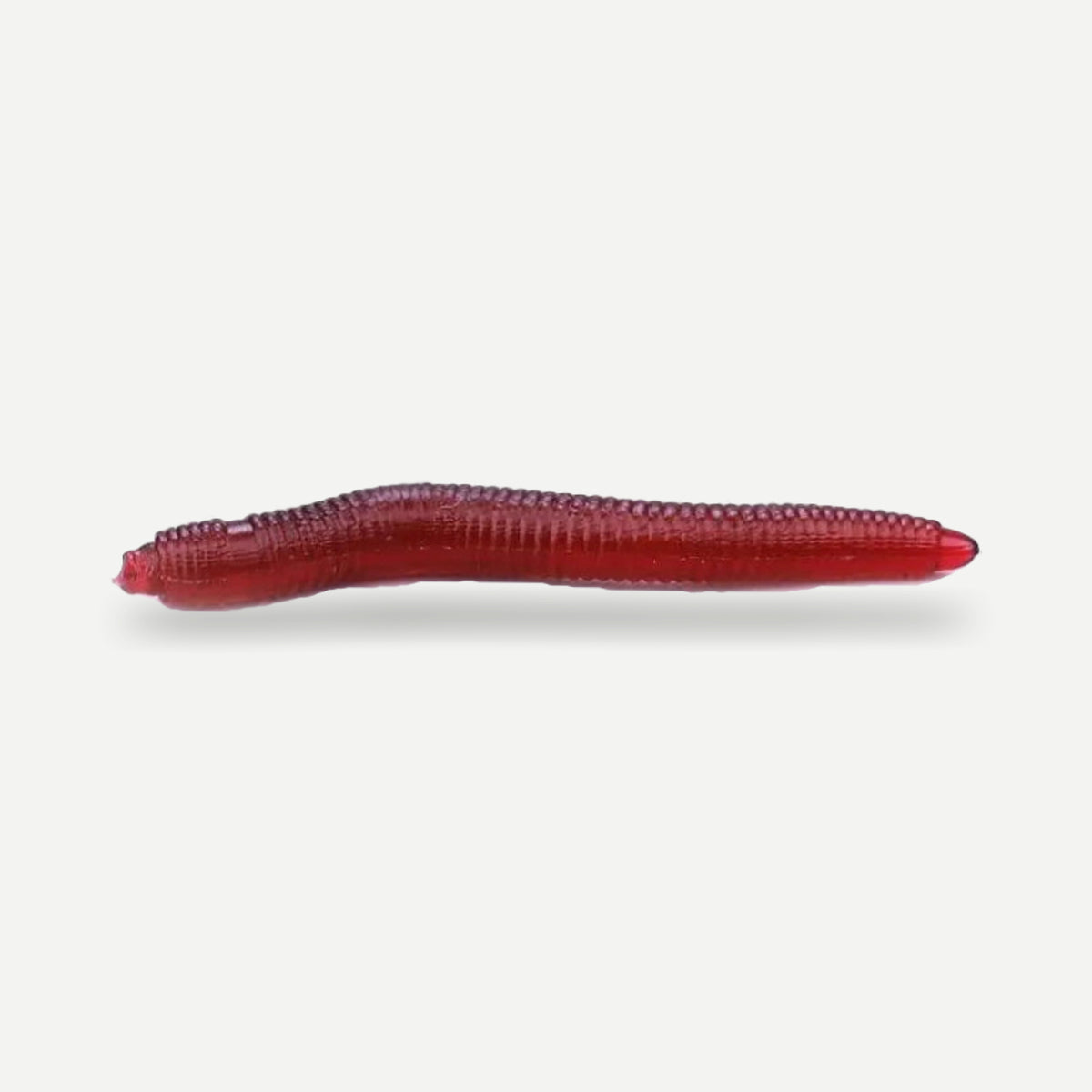 Vers souples 4 cm – lot de 50, 100 ou 200 – Sougayilang
