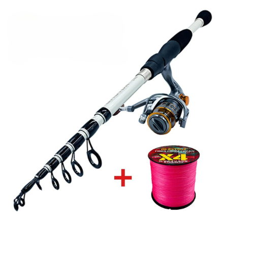 Canne à leurre télescopique + moulinet baitcasting