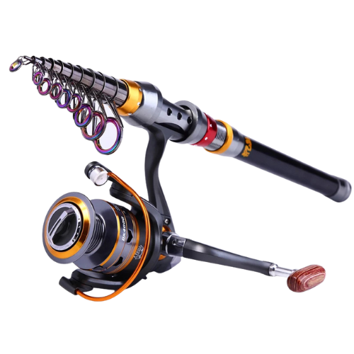 Combo Canne Télescopique Moulinet Portable