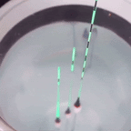 GIF flotteur AquaVue