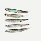 Shads souples 7 à 9 cm – queue en T, spirale ou fine – lot de 5 – Queue fine (pintail)