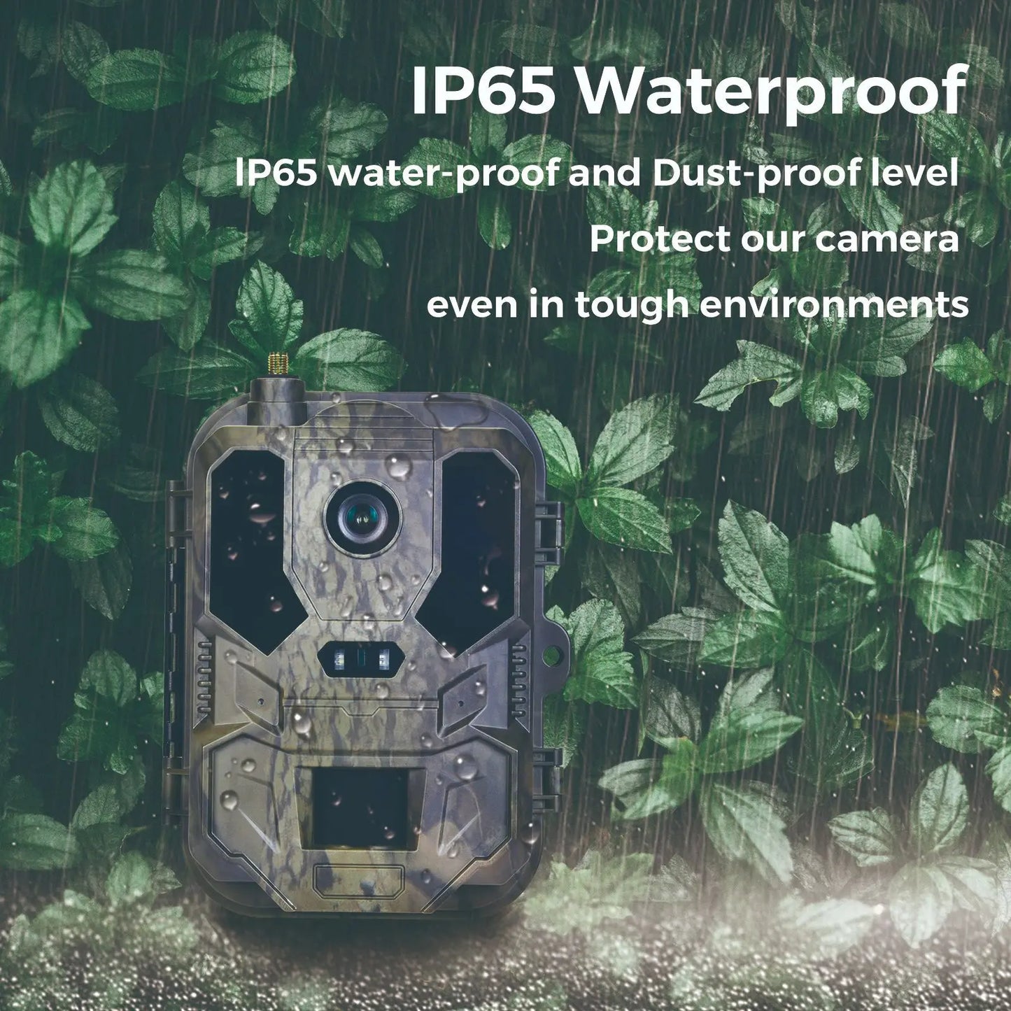 Caméra Chasse Contrôle Application 4G