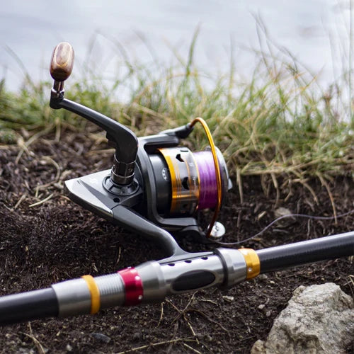 Combo Canne Télescopique Moulinet Portable