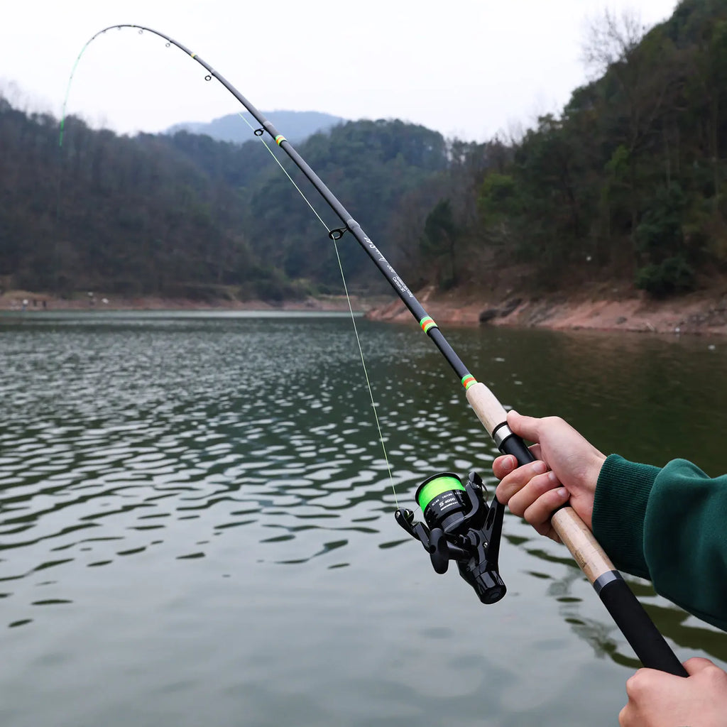 Lightweight carbon rod with cork handle