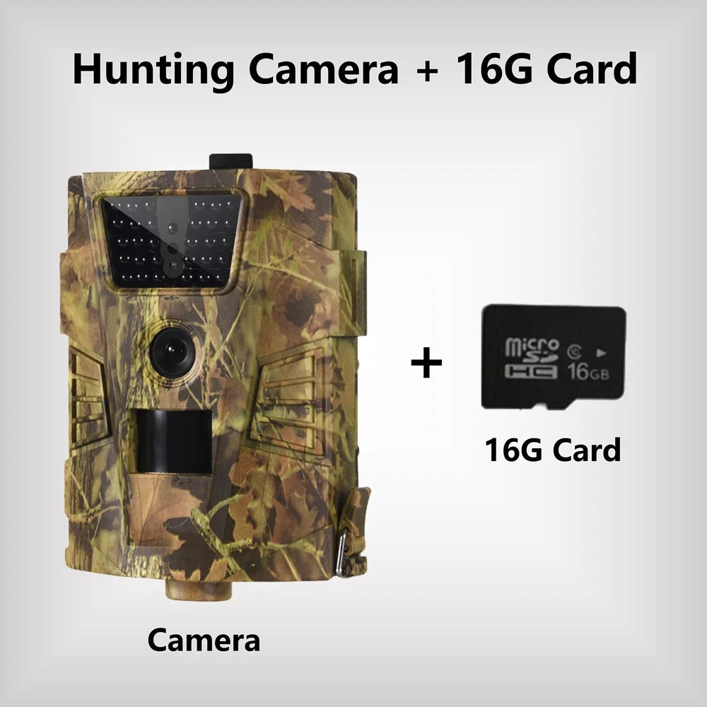 Caméra de Chasse 1080P Infrarouge Étanche