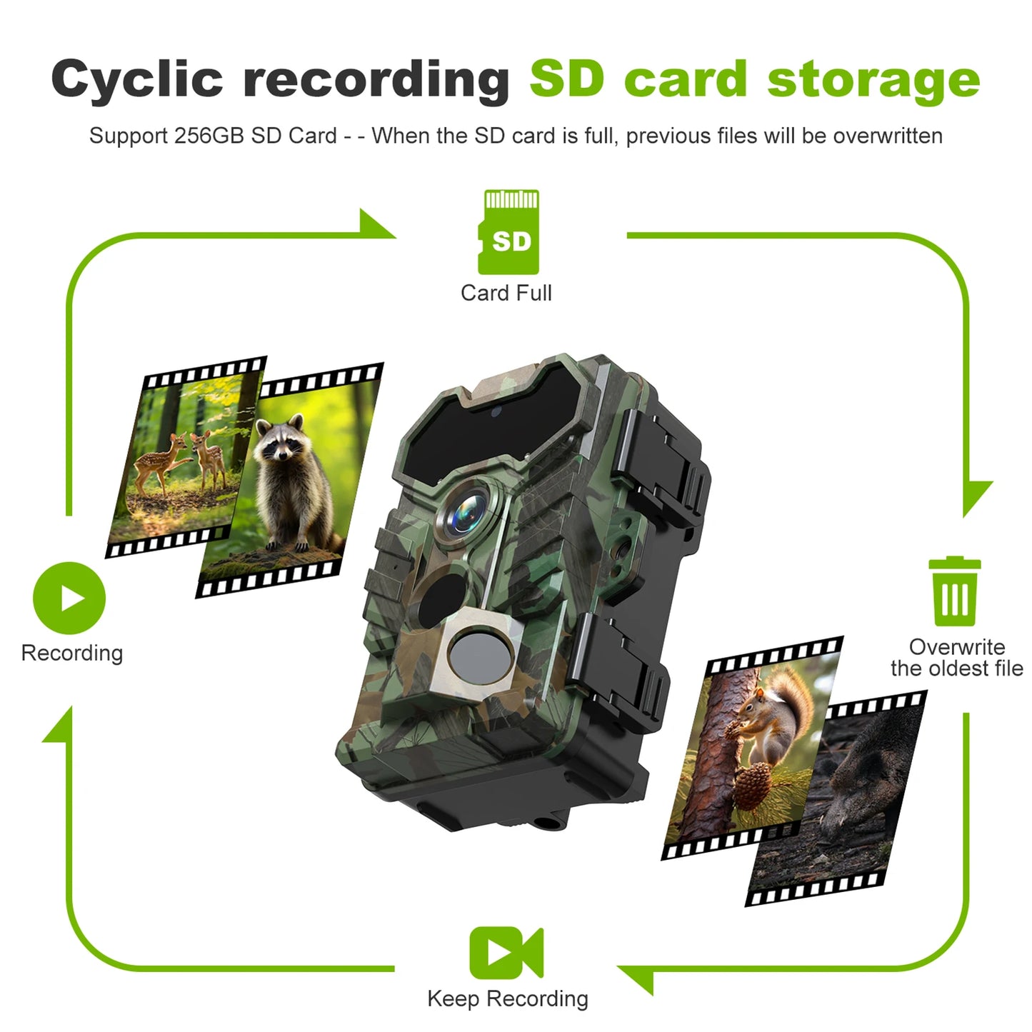 Caméra Chasse Solaire IP66 Pro