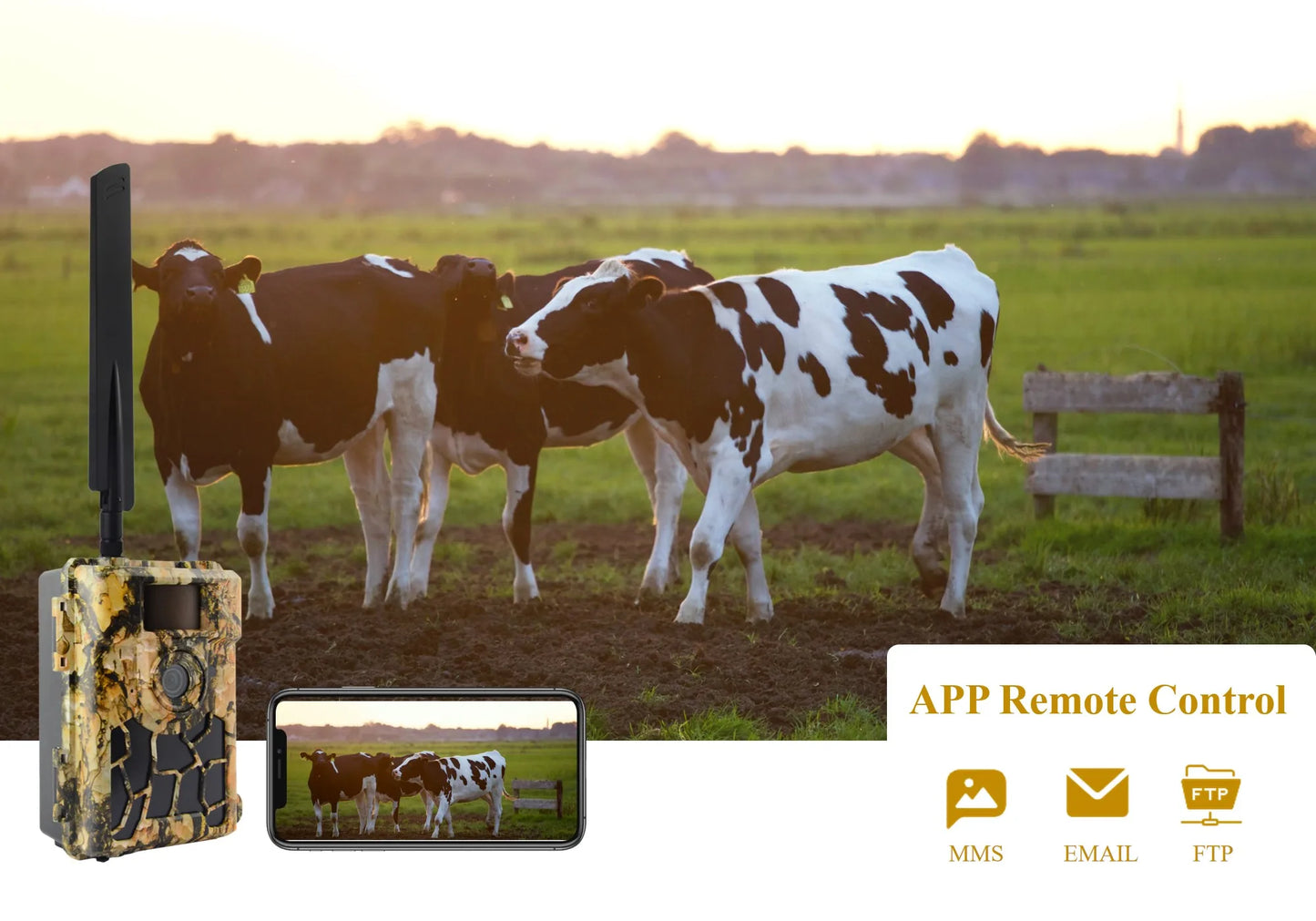 Caméra Chasse 4G Vision Nocturne